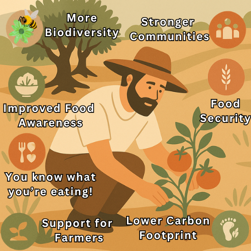 🌍 Why Growing Your Own Food Helps Fight Climate Change